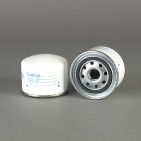 Filtro P766162