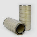 Filtro P780519