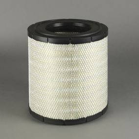 Filtro P780731