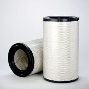 Filtro P781098