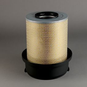 Filtro P781350