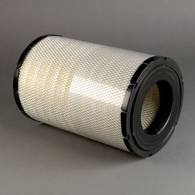 Filtro P784813