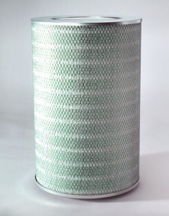 Filtro P786829