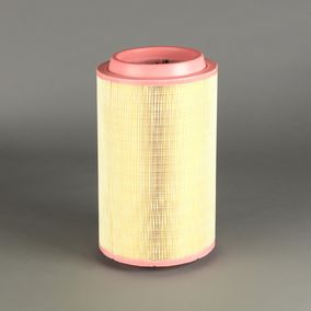 Filtro P950910