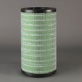 Filtro P951919