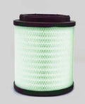 Filtro P958975